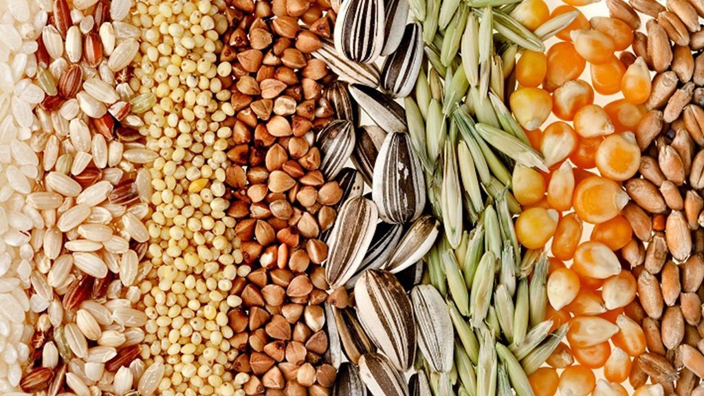 9 semi miracolosi che ti rivoluzioneranno la dieta